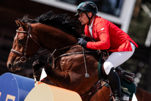 Это не велосипед и не мотоцикл, это живое существо с разумом